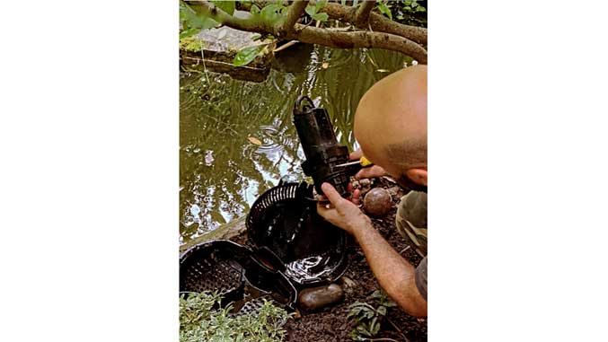 Residential garden pond design and tranquil water feature installation