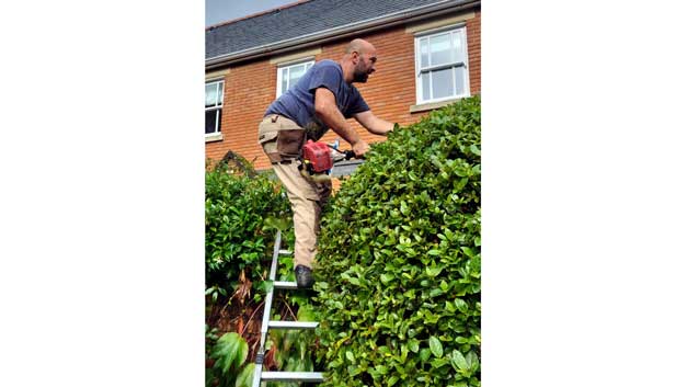 Marco from MF Greenscapes landscaping team