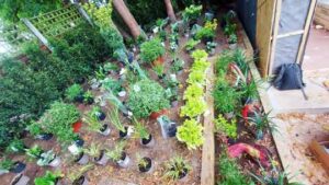 Soft landscaping with planting design and floral borders