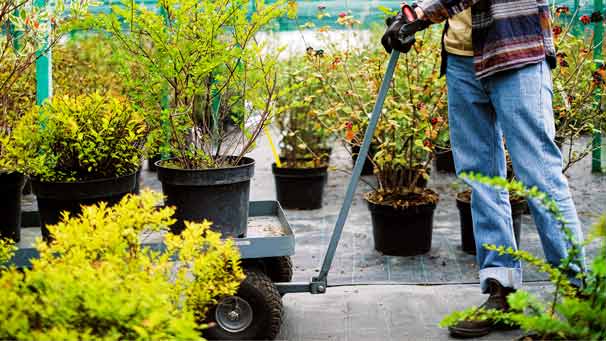 Detailed garden planting design for year-round colour