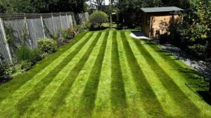 Lawn care and turf maintenance service by MF Greenscapes