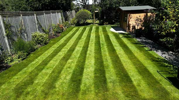 Lawn care and turf maintenance service by MF Greenscapes