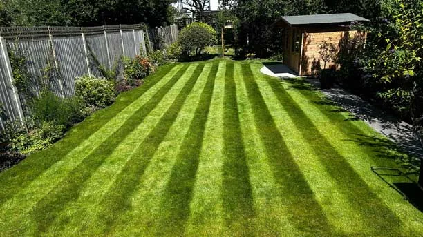 Lawn care and turf maintenance service by MF Greenscapes