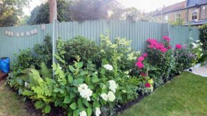 Soft landscaping with planting design and floral borders