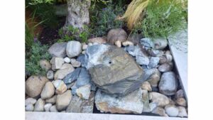 Residential garden pond design and tranquil water feature installation